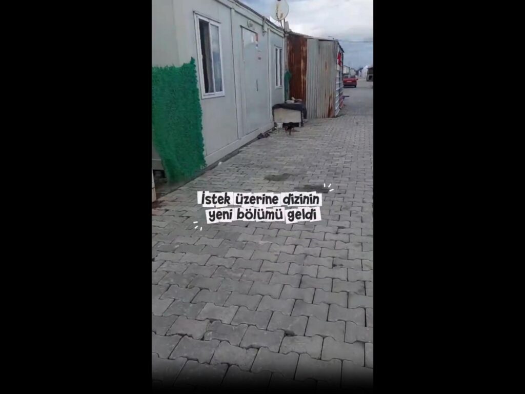 建物の横を歩いている黒色の犬