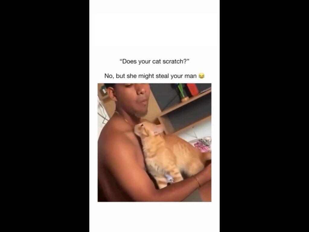 男性に抱きつく茶トラの猫