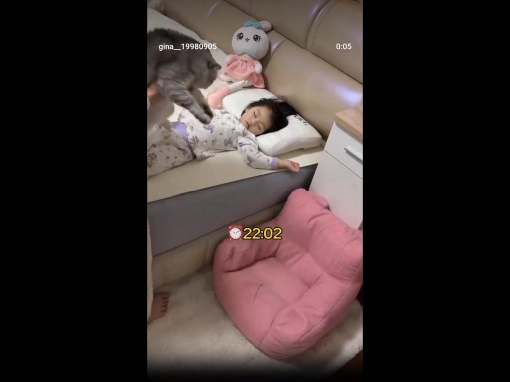 寝ている子供の上を飛ぶ灰色の猫