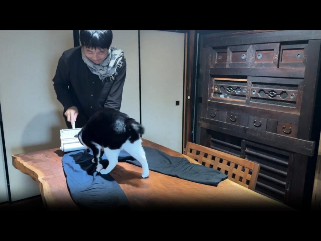 ズボンの上に乗っている白黒の猫