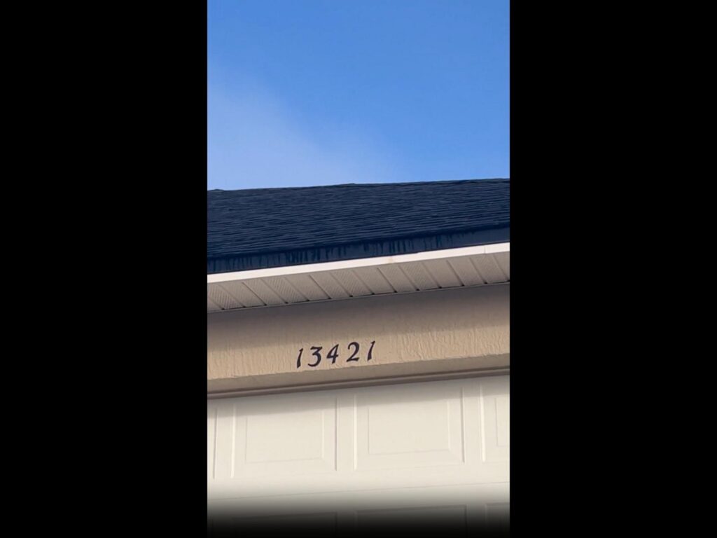 軒下に黒いコウモリがぶら下がっている