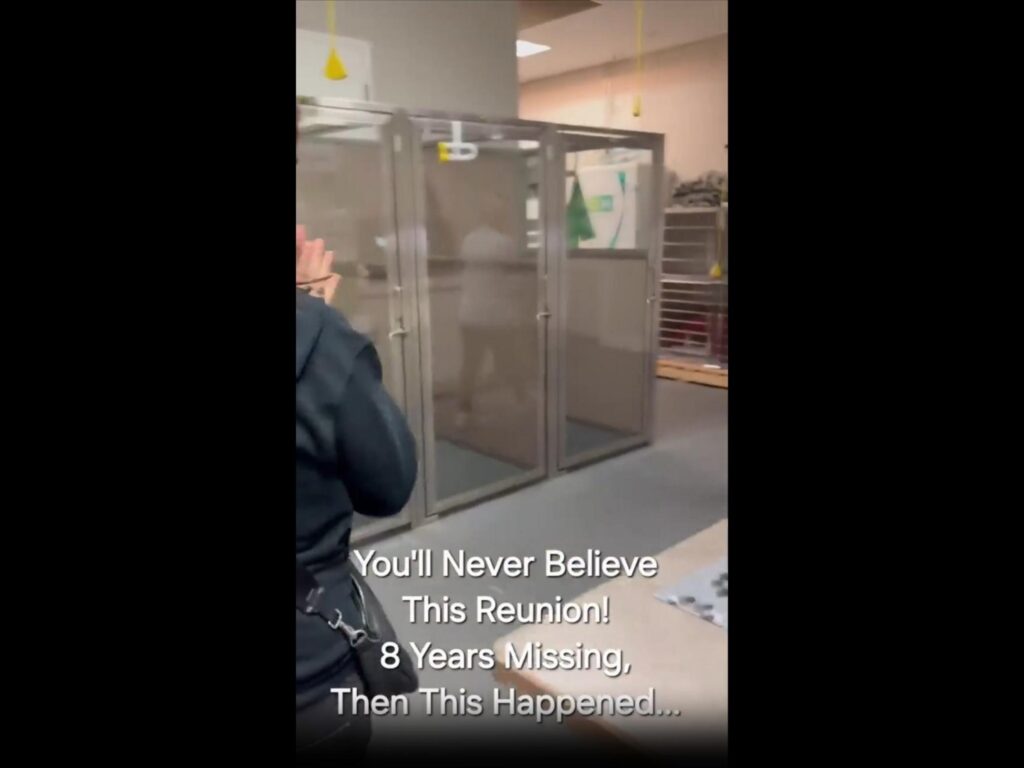 室内にある動物用ケージと前に立つ人物