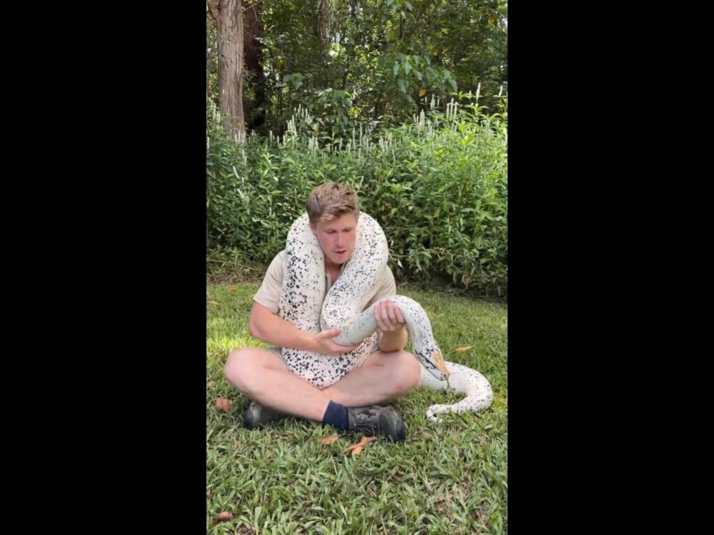 白地に黒い斑点の巨大な蛇が男性に巻き付く