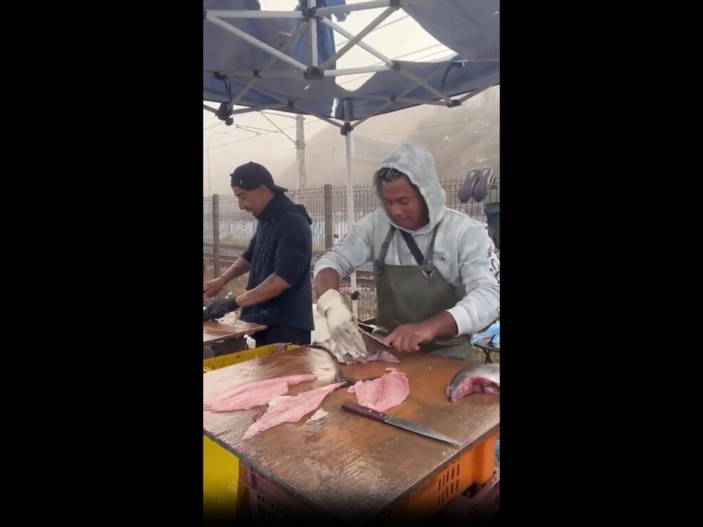 ピンク色の大きな魚がさばかれている