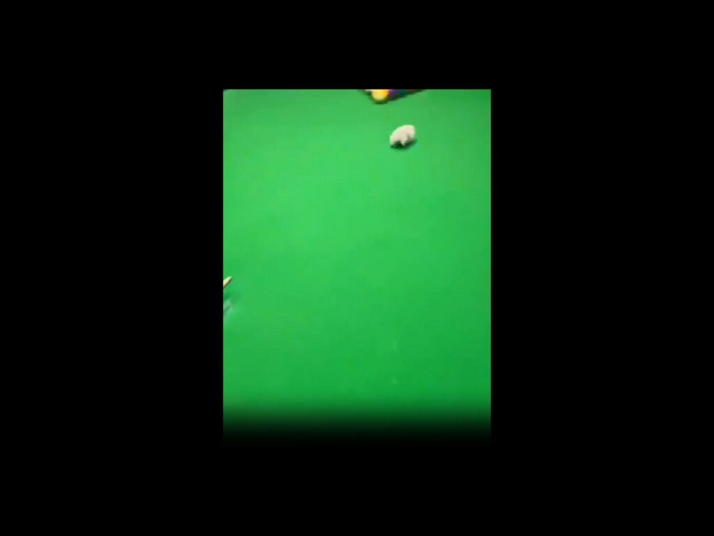 緑の台を歩く白いハムスター