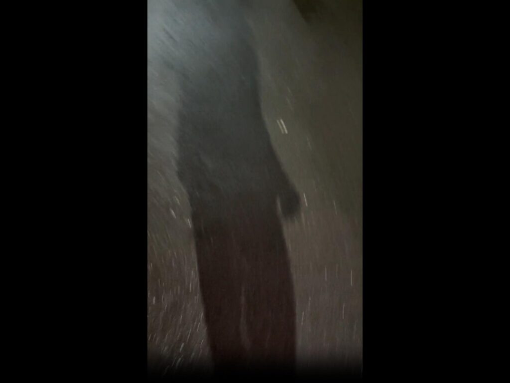 暗い地面に映る人影