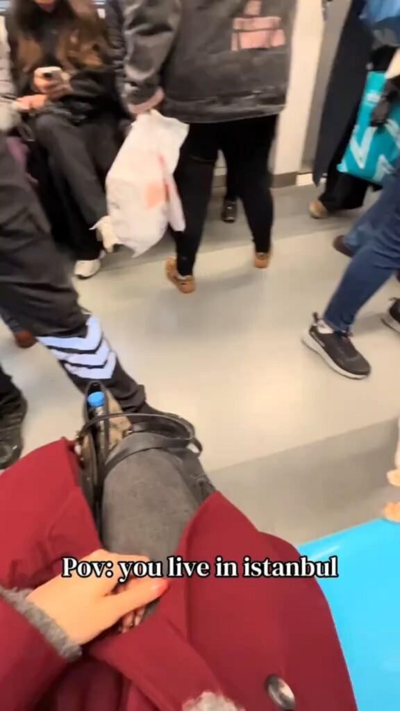 膝の上に茶色い猫が座っている