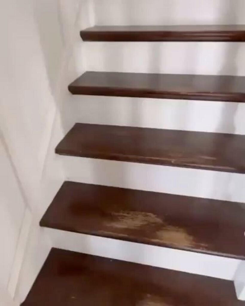 白と茶色の猫が階段で横たわっている