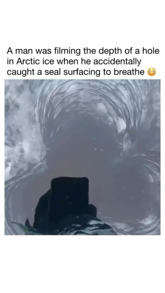 黒い人影がスマホで撮影している