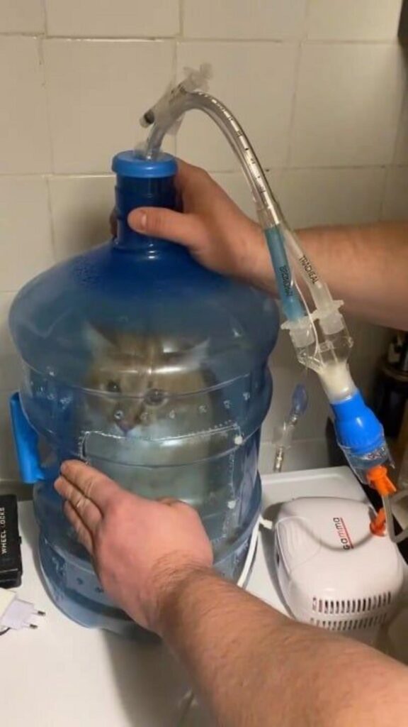 ボトル内で吸入治療を受ける茶色の猫