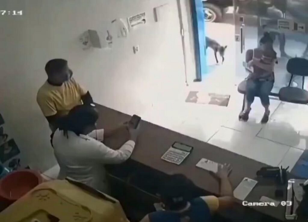 入口から入ってくる黒い犬