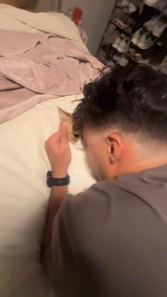 黒髪の男性が茶色の猫を撫でている