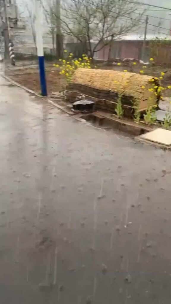 雨の降る道端に黄色い花と藁の囲いがある