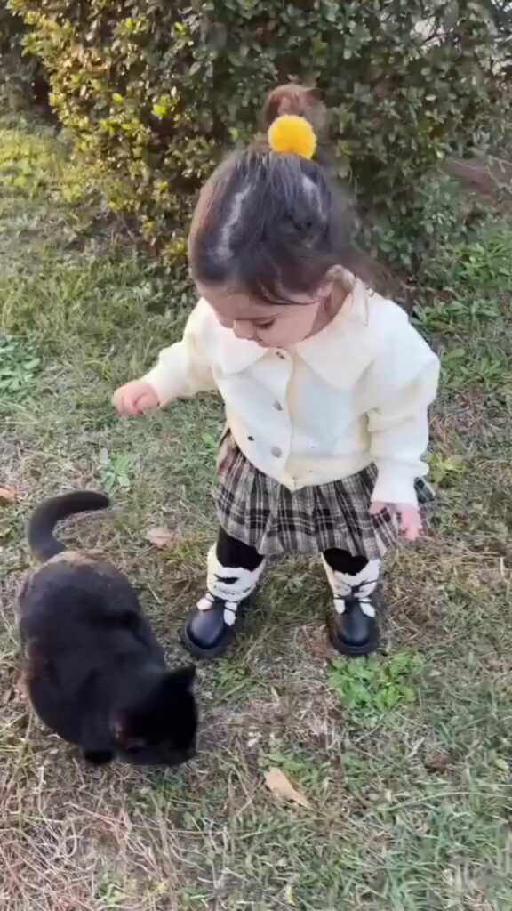 黒猫を見つめる白い服の少女