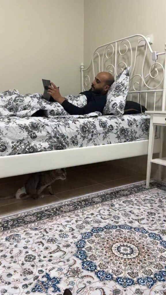 端末を操作する男性とベッド下の灰色の猫