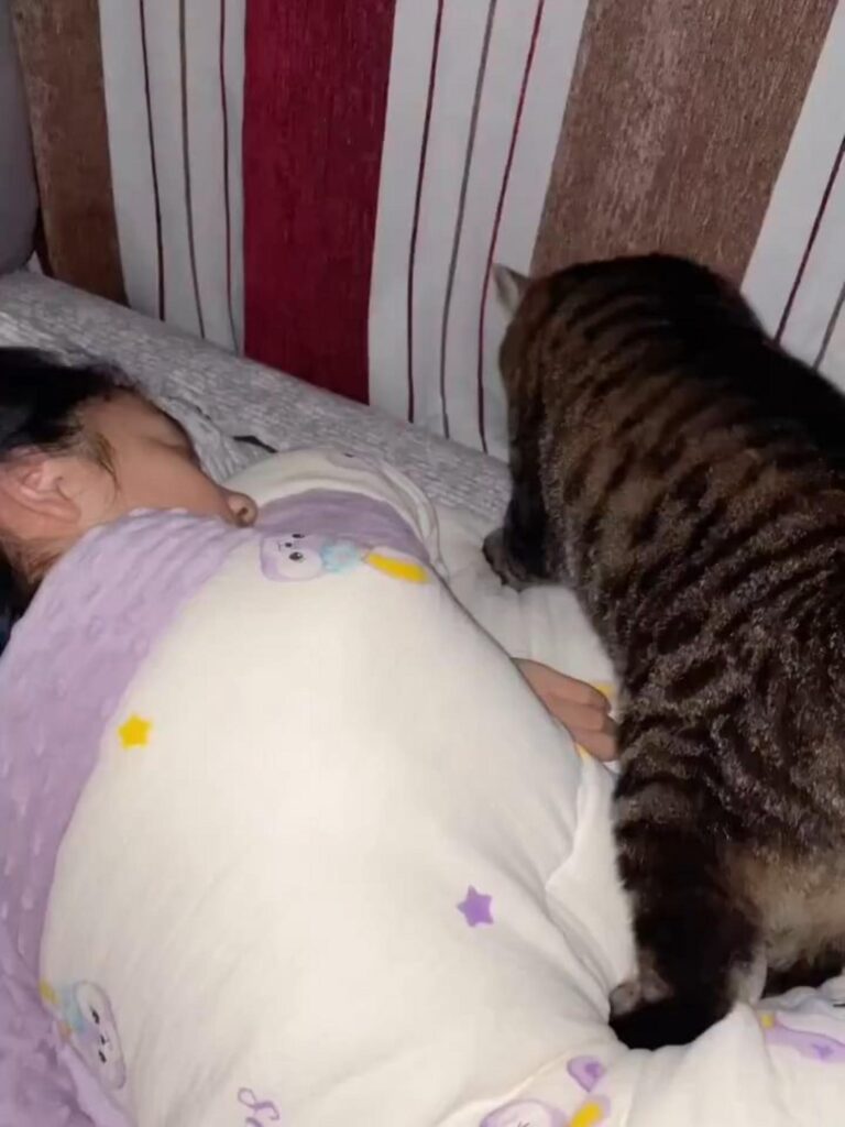 寝ている人の上に乗る茶色い縞模様の猫