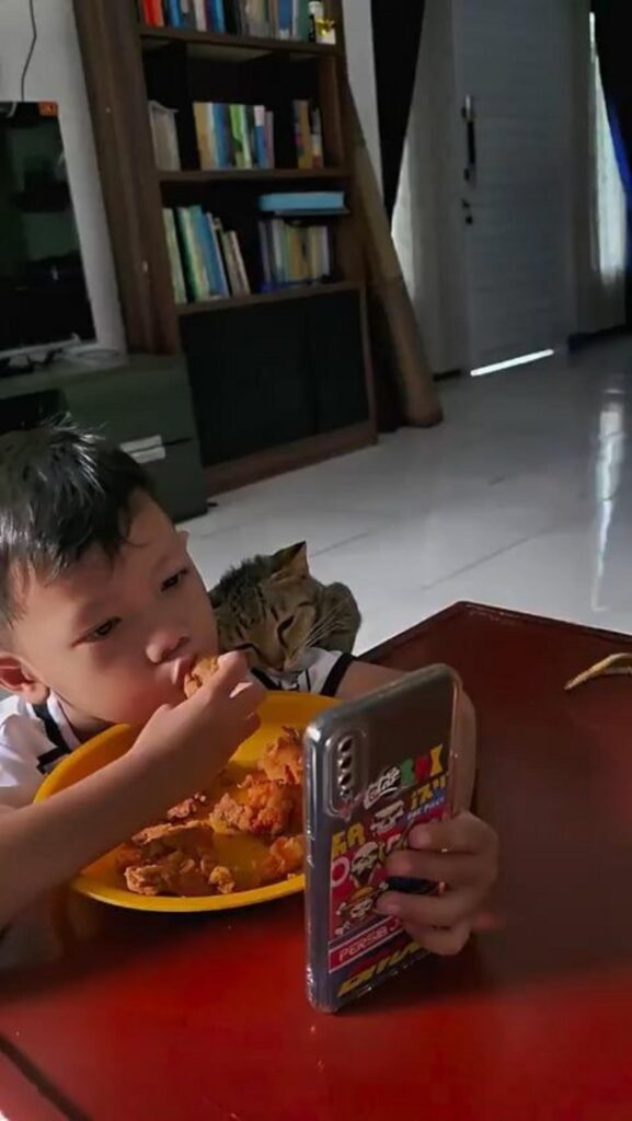 少年と茶色の縞猫が食事中にスマホを見る