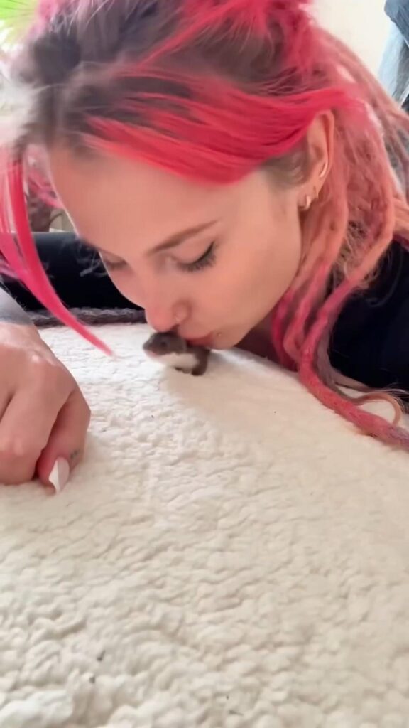 ピンク髪の女性が茶色の小動物にキスする