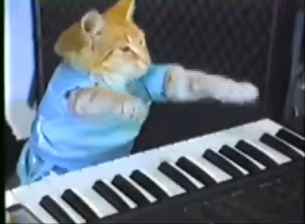 青い服の茶色の猫がキーボードを弾く