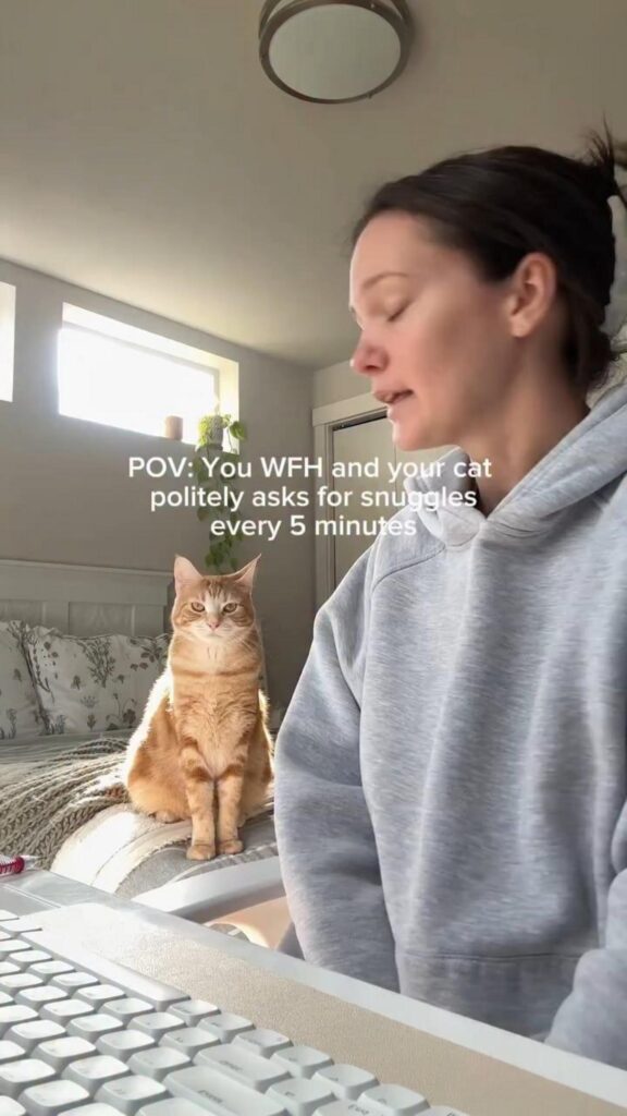 座って女性を見つめる茶色の猫と女性
