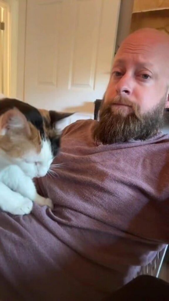 膝の上で寛ぐ三毛猫と髭の男性
